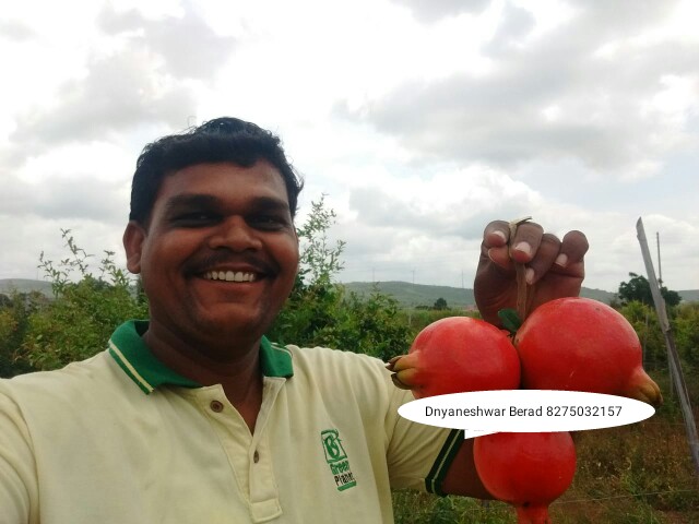 Apple iphone shop Ahmednagar